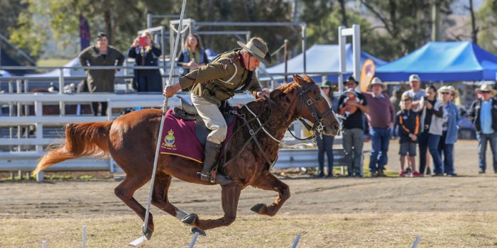 Clydesdale spectacular