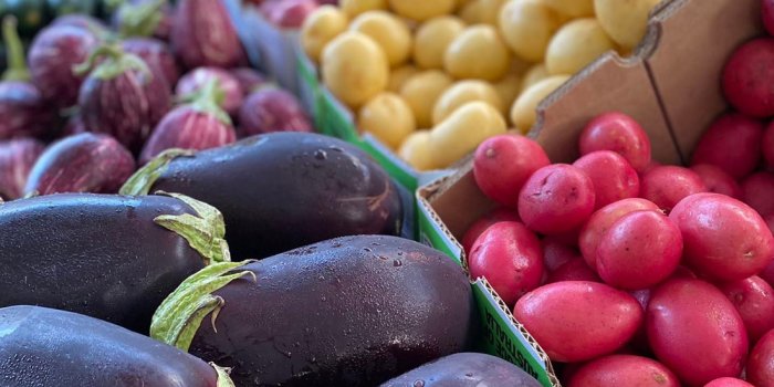 Helensvale Farmers Market