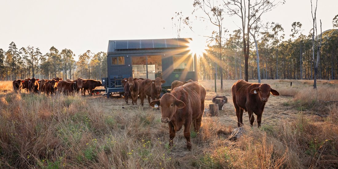 Go off-grid with Unyoked, a collection of cabins set in the wilderness