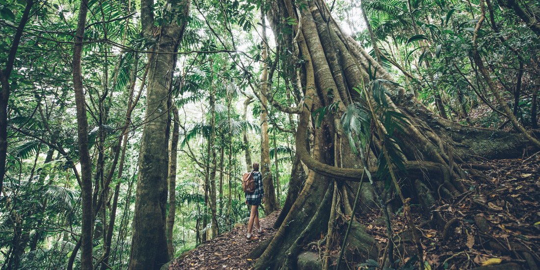 Those boots are made for walking – the best trails to hike in and around the Gold Coast