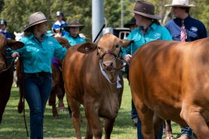 2023 Mudgeeraba Agricultural Show