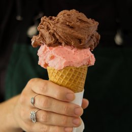 Elevate your taste buds at hinterland gem Tamborine Mountain Gelato Co