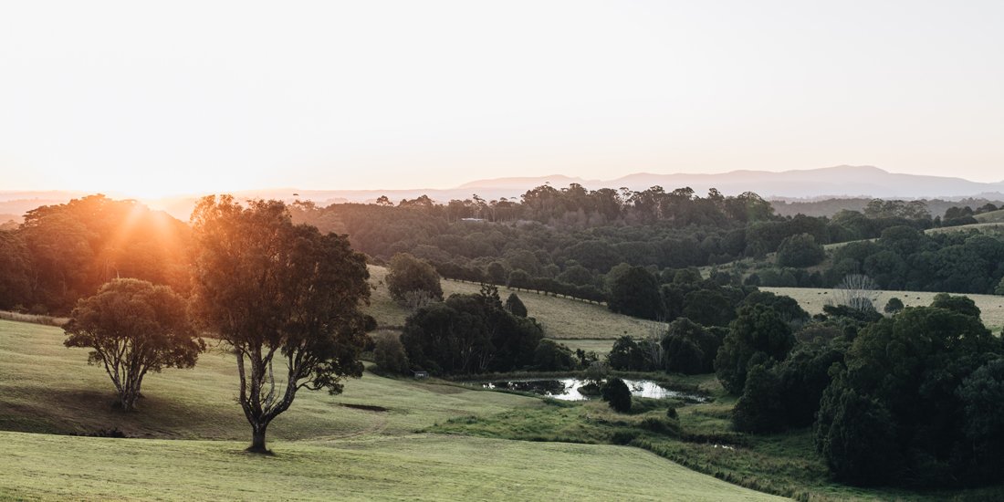 Have an ideal getaway at Byron Bay Hinterland accommodation spot, The Brooklet