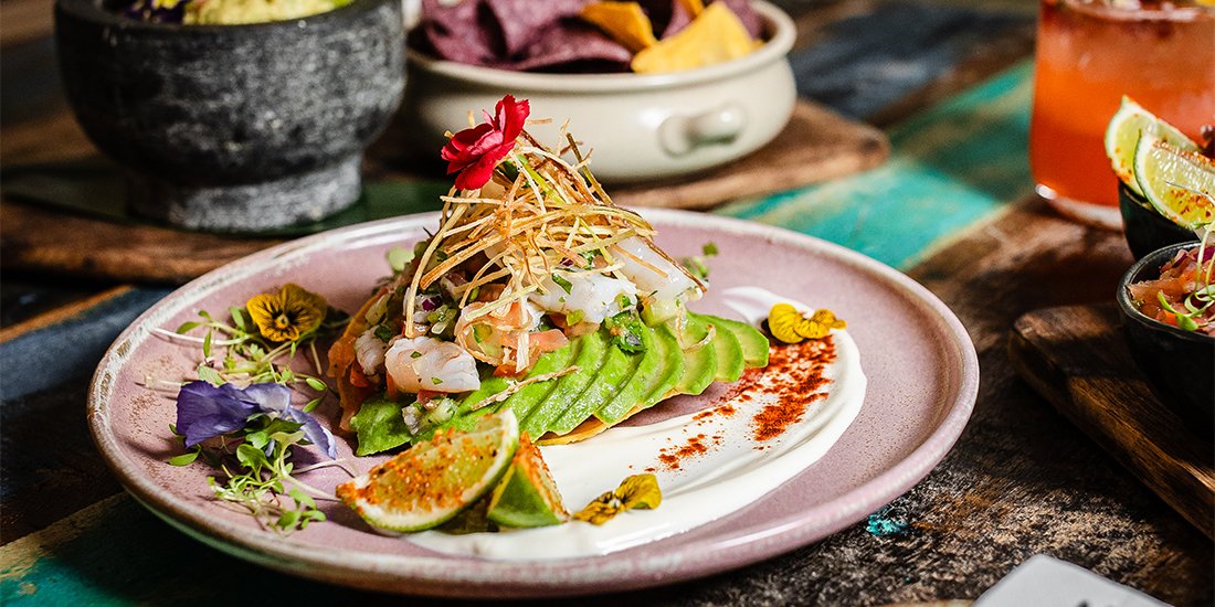 Holy guacamole – Nude Amigos brings all-day happy hour and scorpion challenges to Broadbeach