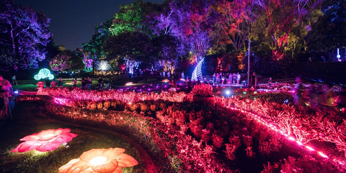 Magical light show The Enchanted Garden is returning to Roma Street Parkland