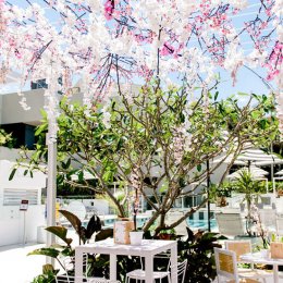 A secret Japanese garden is set to bloom in Surfers Paradise
