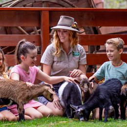 Currumbin Wildlife Sanctuary unveils a new multi-million dollar precinct, Outback Springs