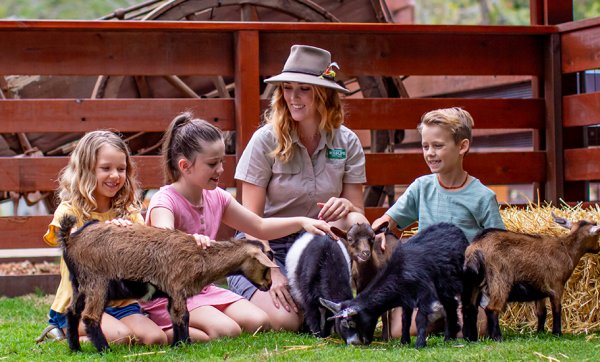 Currumbin Wildlife Sanctuary unveils a new multi-million dollar precinct, Outback Springs