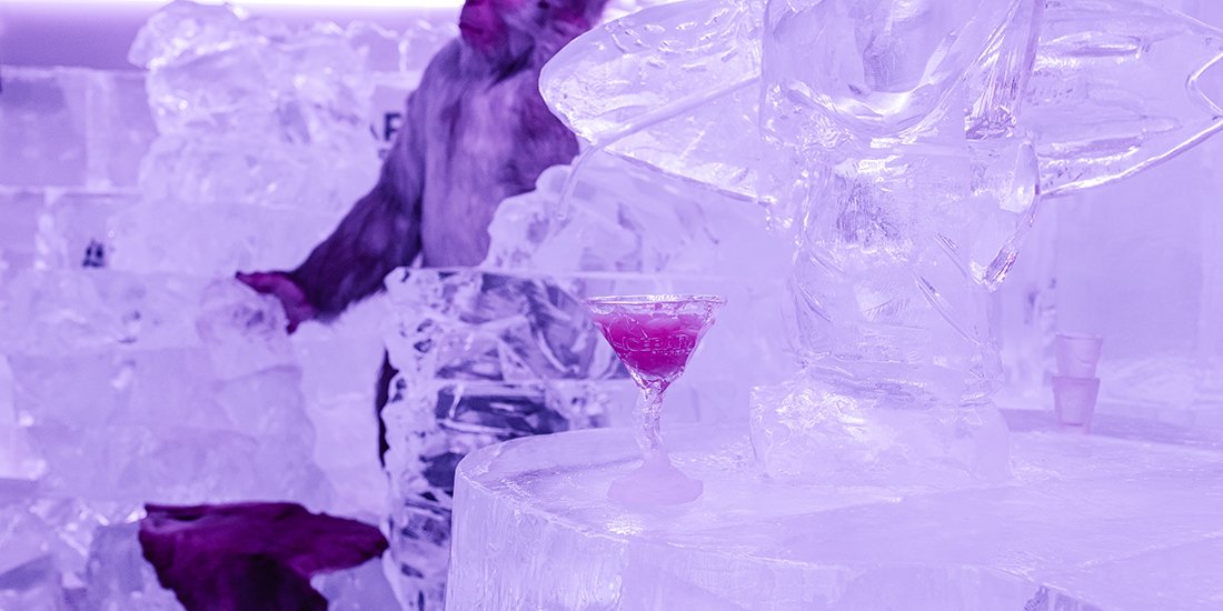 Ice ice baby – Surfers Paradise has welcomed a bar made entirely of ice