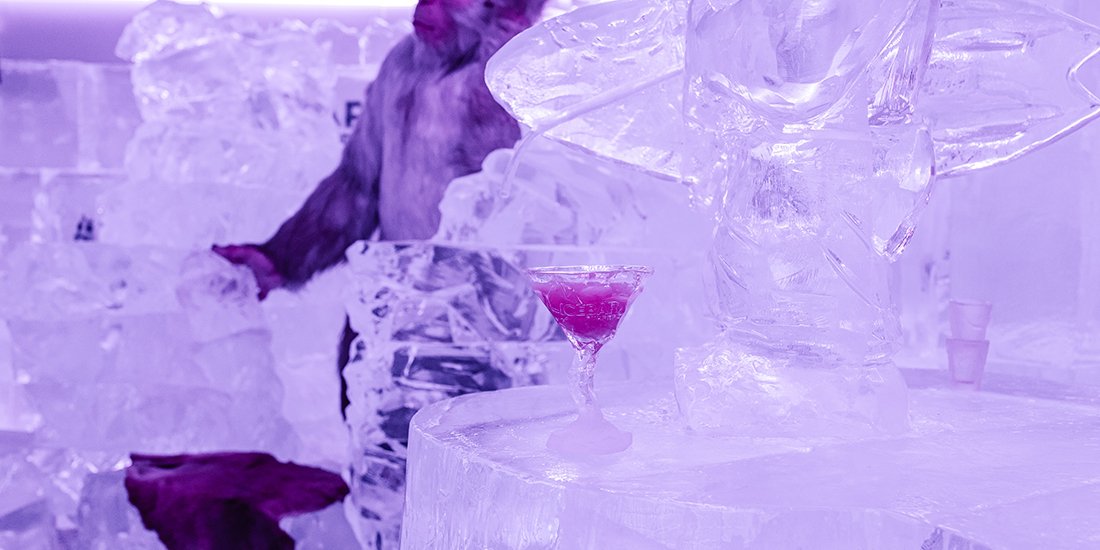 IceBar Surfers