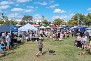 Dogs on the Green Market