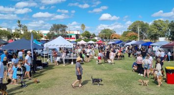 Dogs on the Green Market