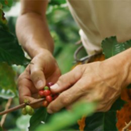 Say good morning to the new coffee roaster that’s reimagining how we brew