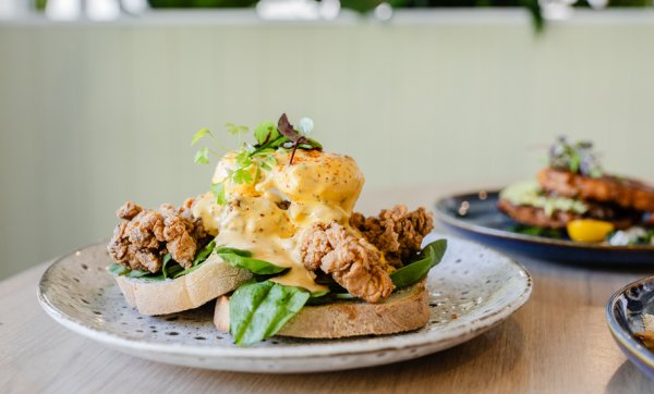 Feast on fried-chicken Bennys and blueberry-topped toast at Robina's new Gathering Co.