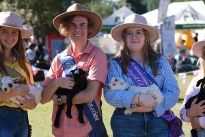 Mudgeeraba Agricultural Show