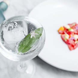 Tarte Beach House launches a new gin cocktail range featuring Margot Robbie's Papa Salt