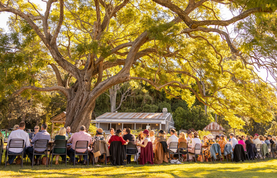 Ditch the city for a paddock-to-plate paradise this Scenic Rim Eat Local Month