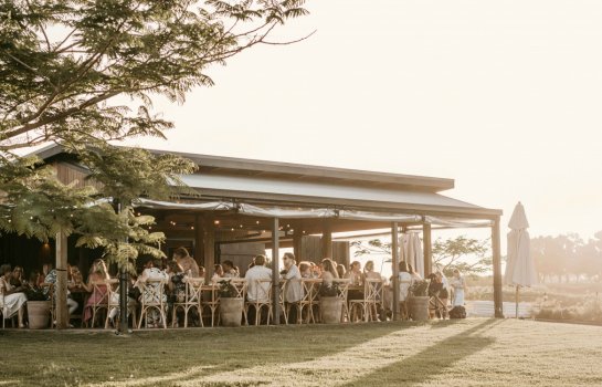 Coconut, Curry Leaves and Spice Feast by Christine Manfield at Farm & Co