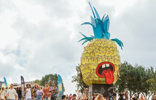 Big Pineapple Festival