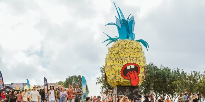 Big Pineapple Festival