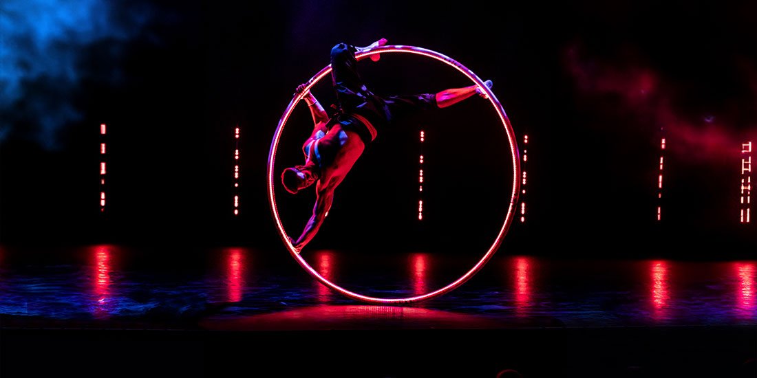 From circus stunts to drone displays – find the best of Brisbane Festival at the Festival Garden