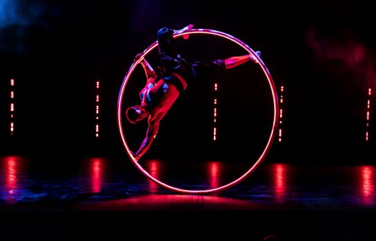 From circus stunts to drone displays – find the best of Brisbane Festival at the Festival Garden